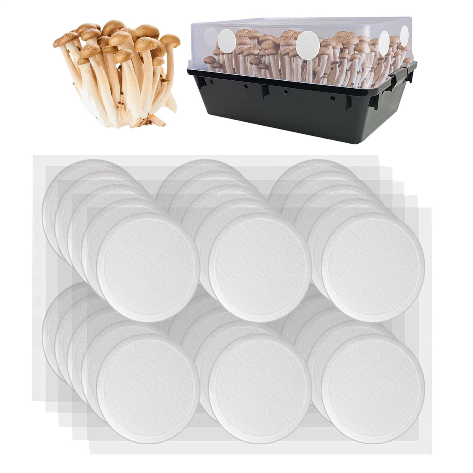 Mushroom Spawn Bag - 30 disques filtrants adhésifs respirants et