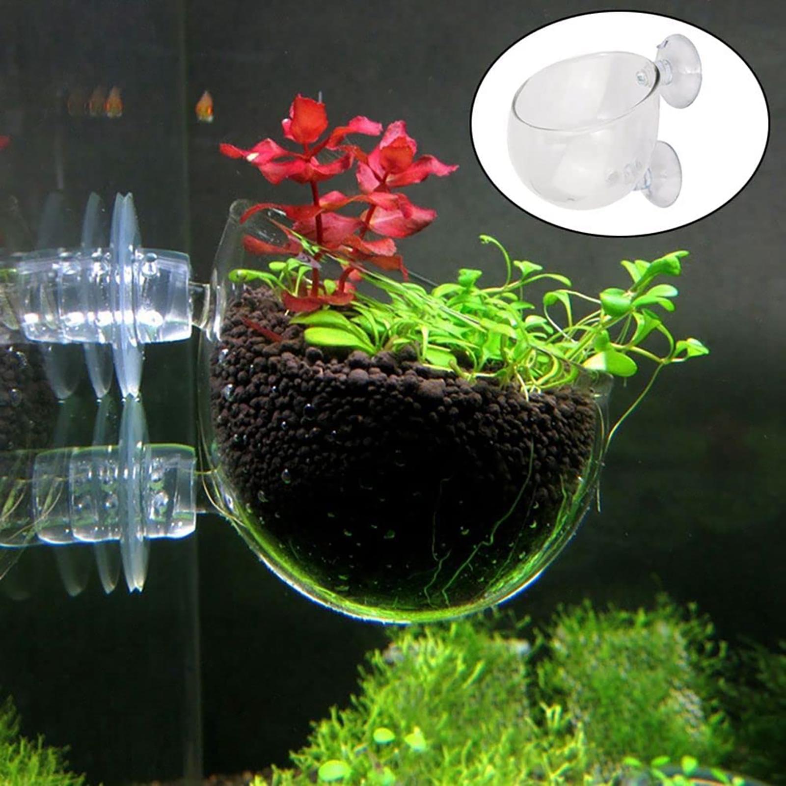 Plant Growth Regulator - Pot de plantes aquatiques en acrylique