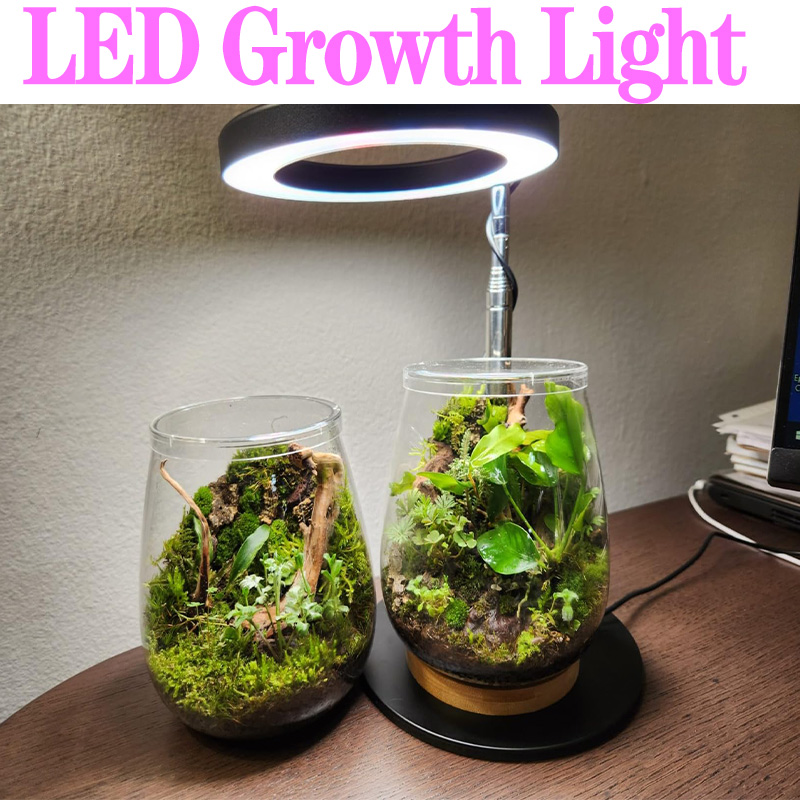 Plant Growth Regulator - Lampe horticole de croissance LED USB,