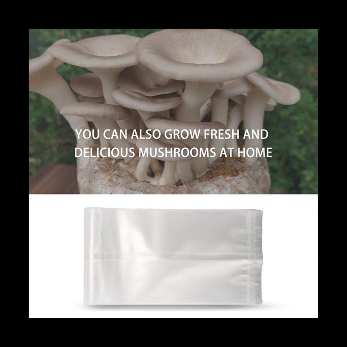 Mushroom Spawn Bag - A78I 50 sacs de champignons/sacs de