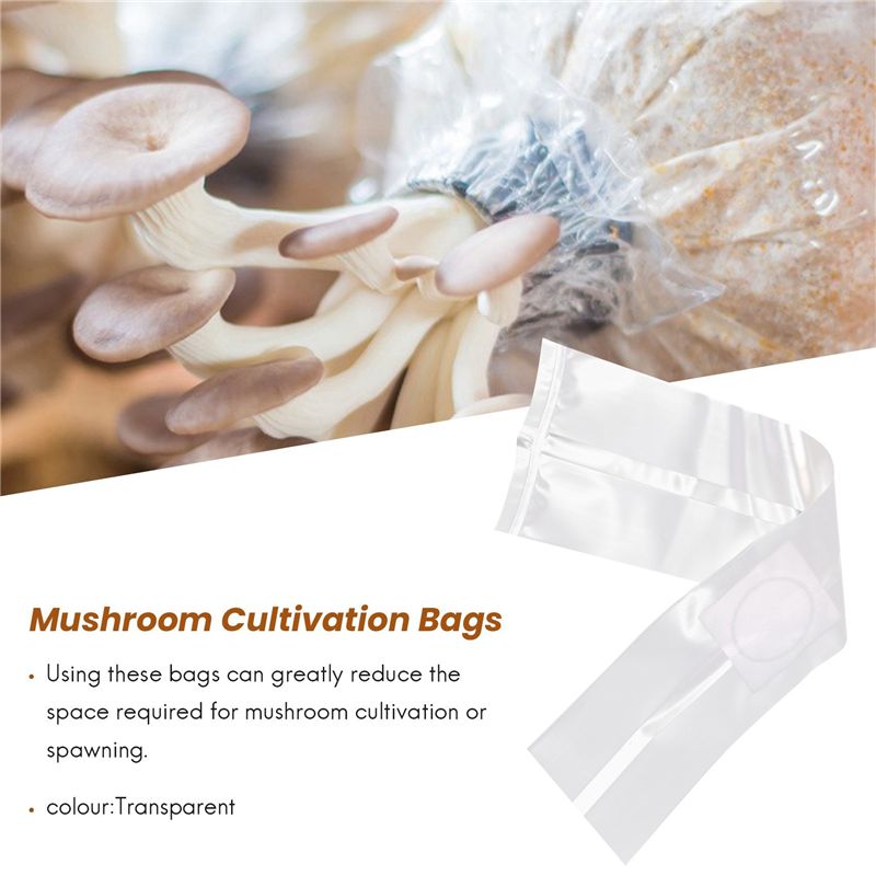Sacs de culture de champignons - Mushroom Spawn Bag avis et prix