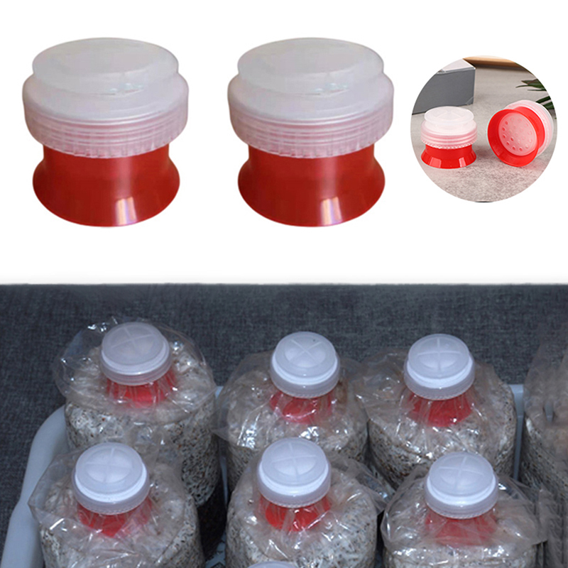 Sac de culture de champignons, - Mushroom Spawn Bag avis et prix