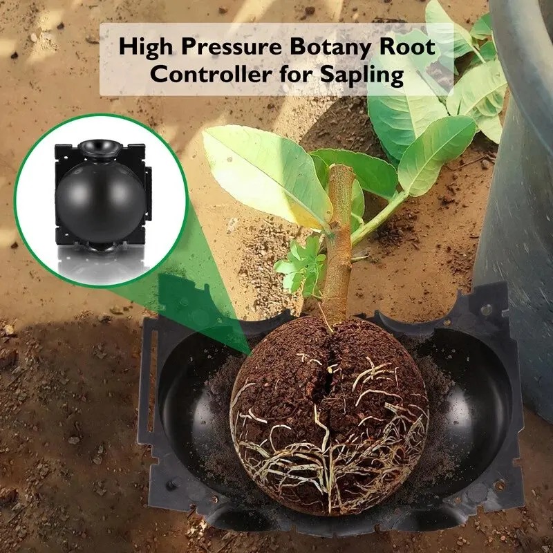 5/30 pièces Boîte de propagati - Plant Growth Regulator avis et prix