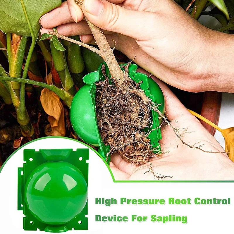 5/30 pièces Boîte de propagati - Plant Growth Regulator avis et prix
