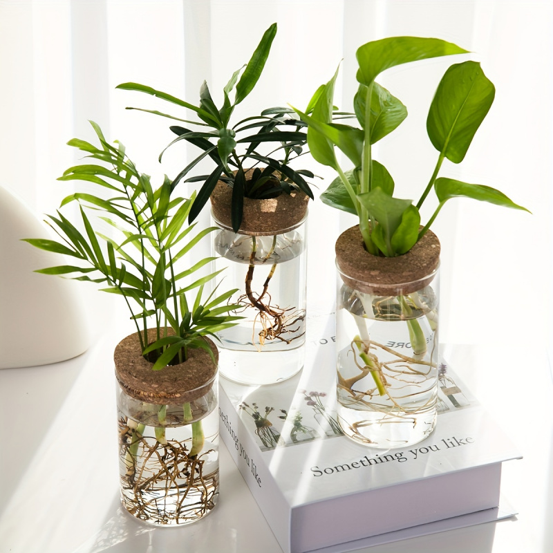 User inière en verre pour plan - Plant Growth Regulator avis et prix