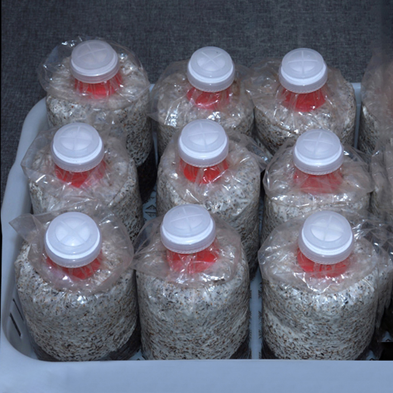 Lot de 10 Cols de scellage pou - Mushroom Spawn Bag avis et prix