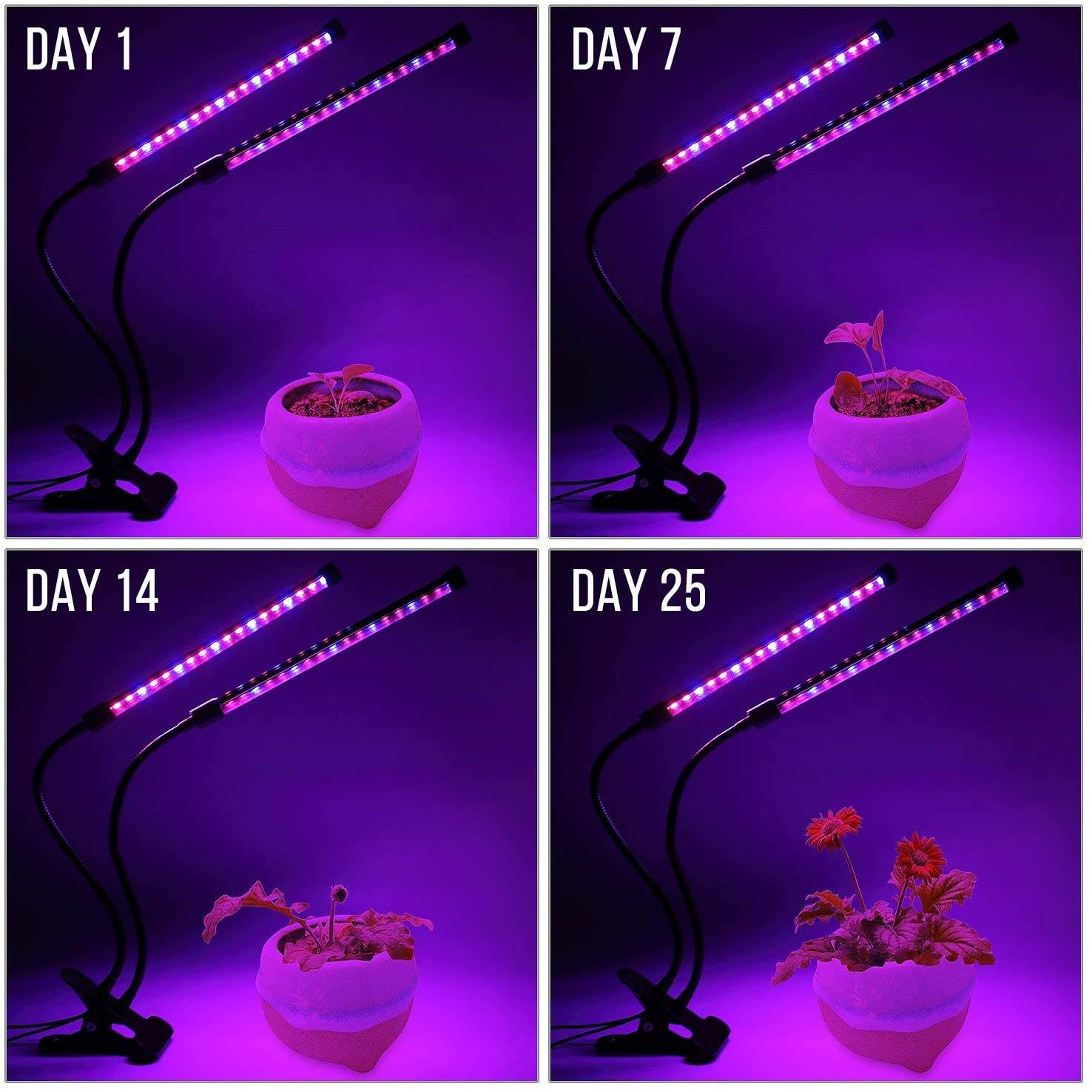 USB LED plante poussent la lum - Plant Growth Regulator avis et prix