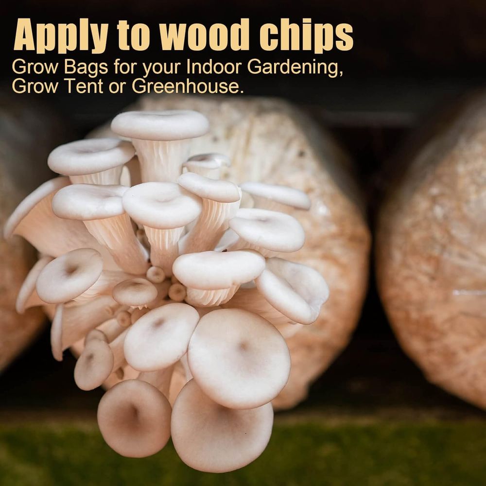 Sacs de culture de champignons - Mushroom Spawn Bag avis et prix
