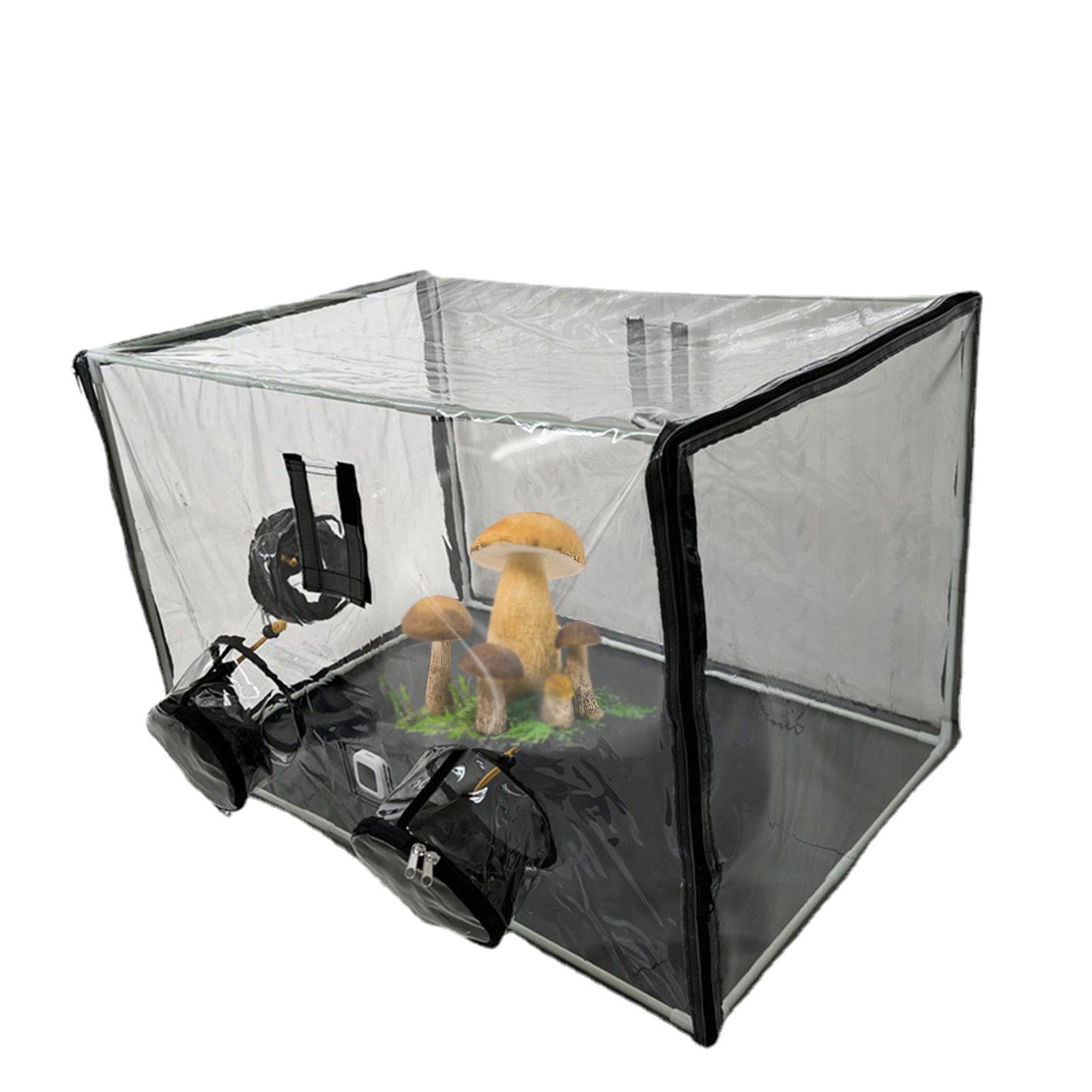 Mini serre de jardin pliable f - Mushroom Spawn Bag avis et prix