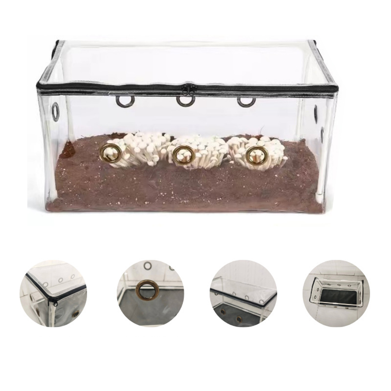 Mini serre de jardin pliable f - Mushroom Spawn Bag avis et prix
