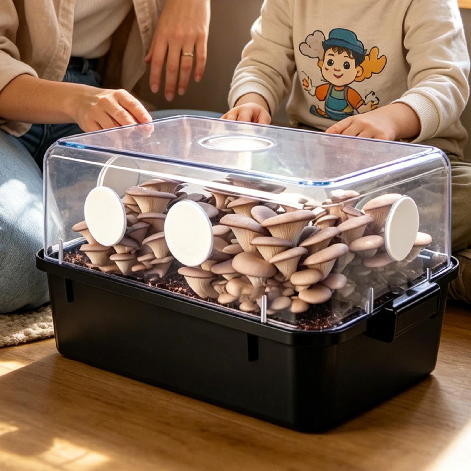 30 disques filtrants adhésifs  - Mushroom Spawn Bag avis et prix