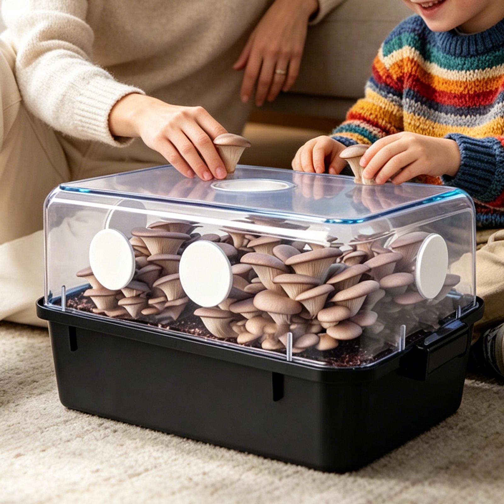 30 disques filtrants adhésifs  - Mushroom Spawn Bag avis et prix