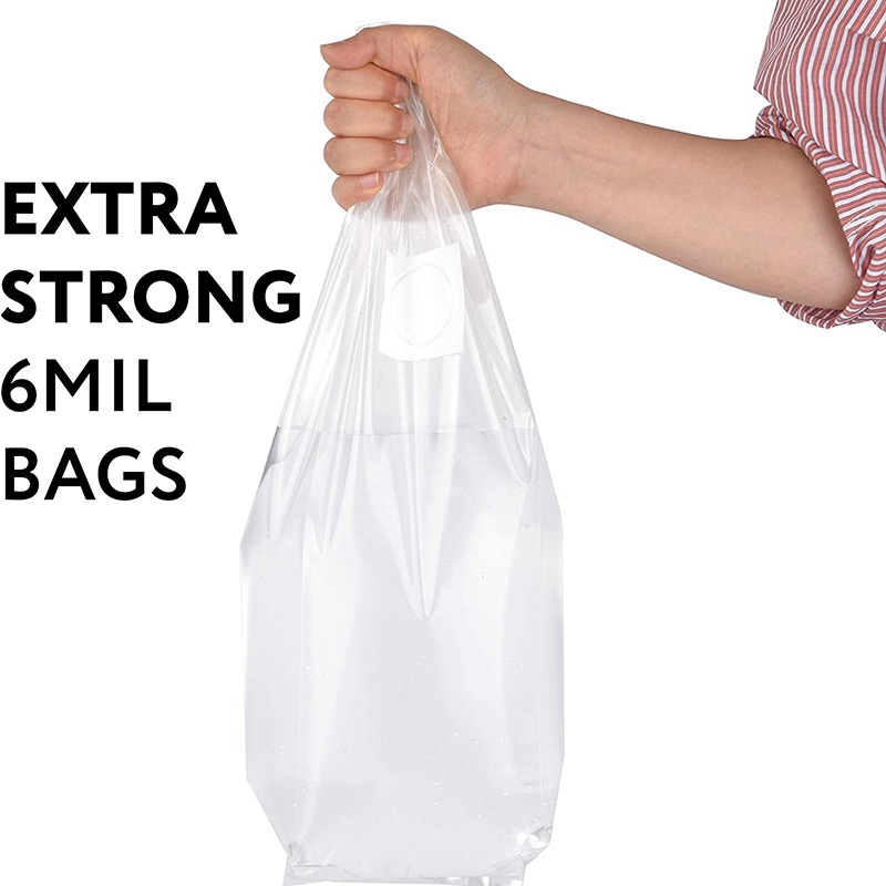 100 sacs de culture de champig - Mushroom Spawn Bag avis et prix