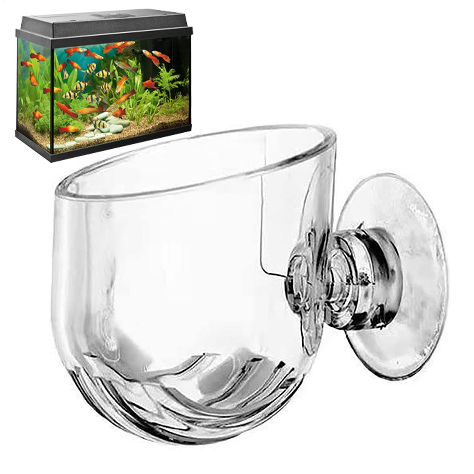 Pot de plantes aquatiques en a - Plant Growth Regulator avis et prix