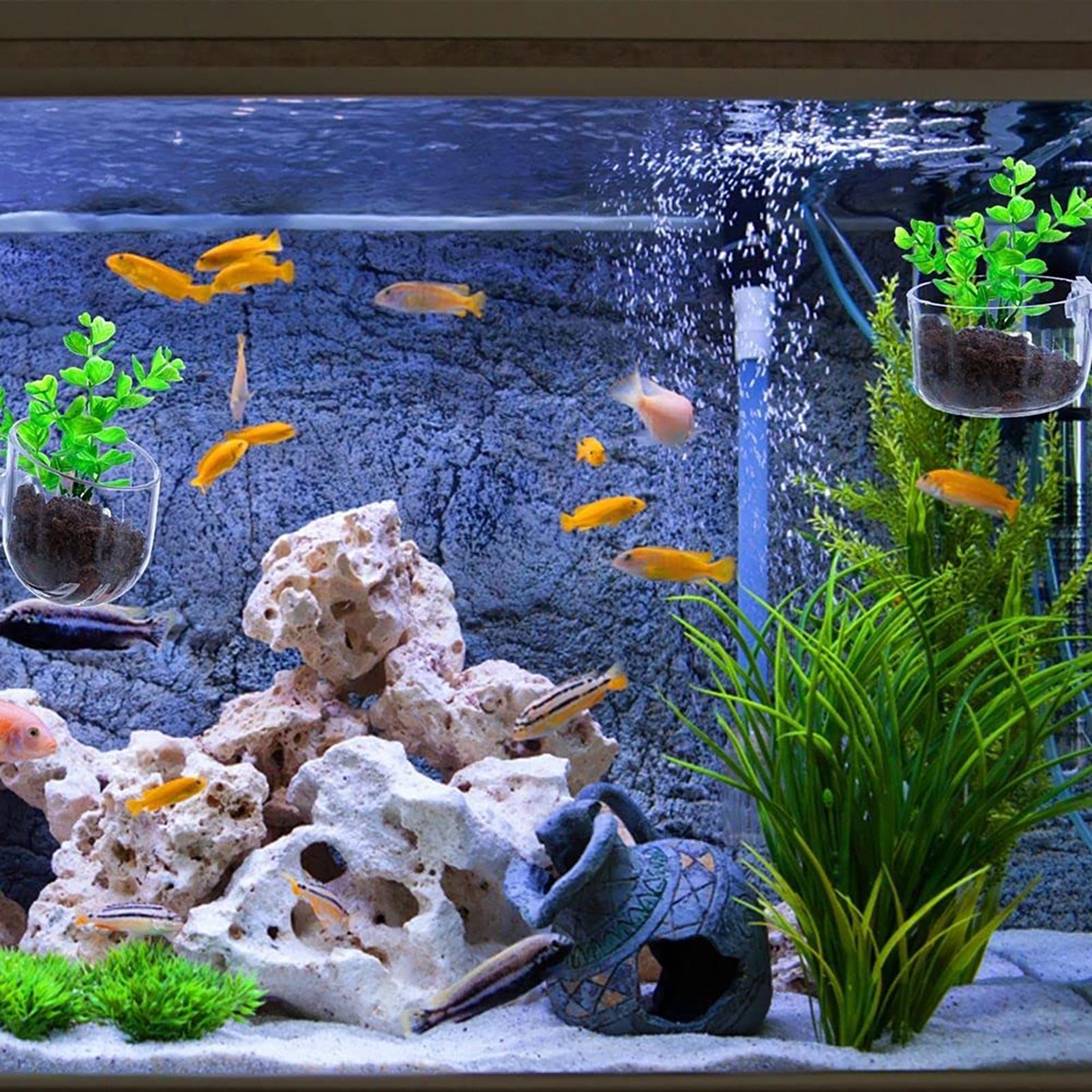 Pot de plantes aquatiques en a - Plant Growth Regulator avis et prix