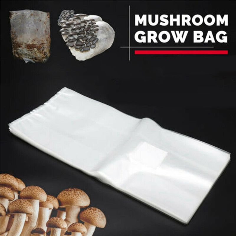 Sacs de culture de champignons - Mushroom Spawn Bag avis et prix