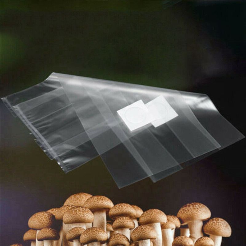 Sacs de culture de champignons - Mushroom Spawn Bag avis et prix