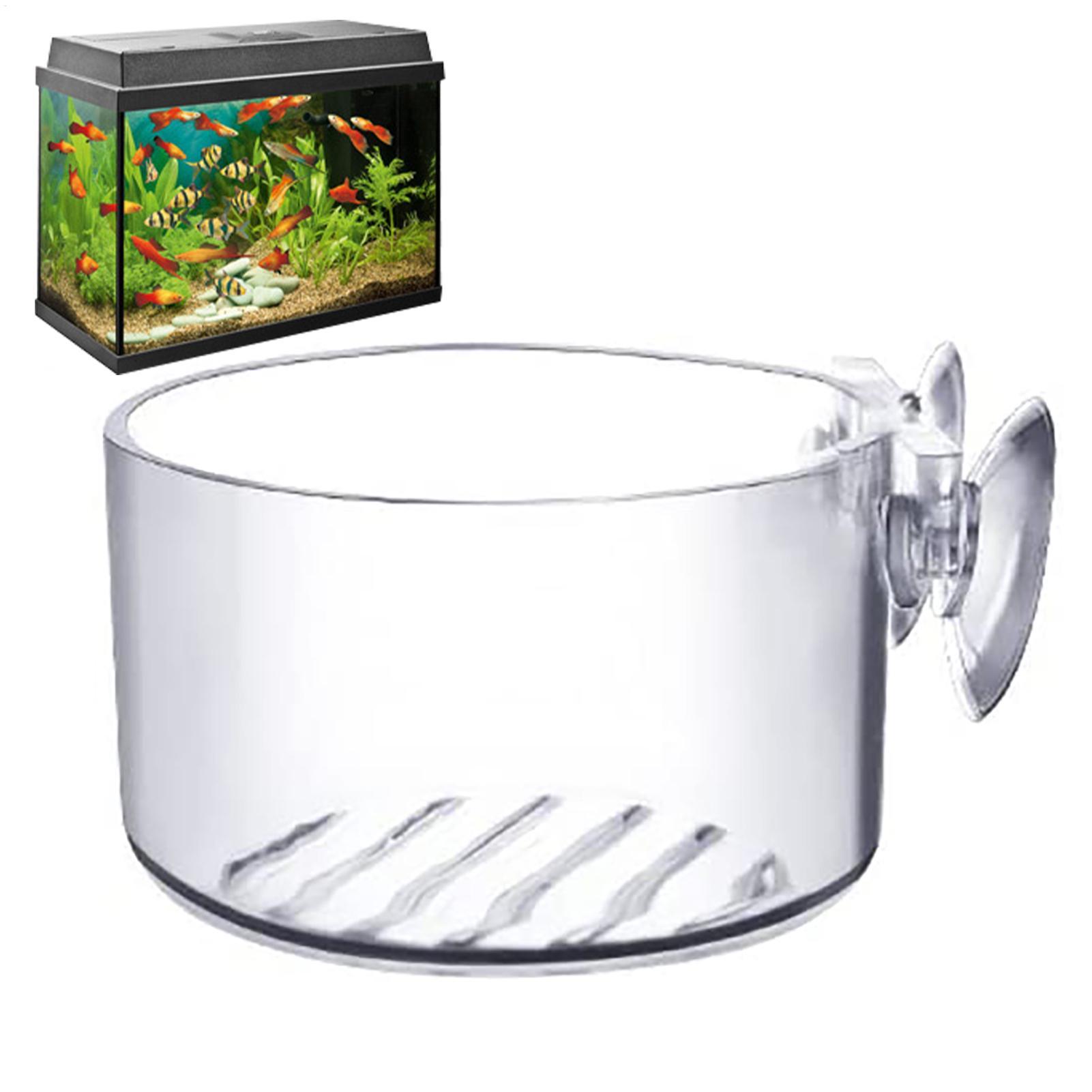 Pot pour plantes aquatiques en - Plant Growth Regulator avis et prix