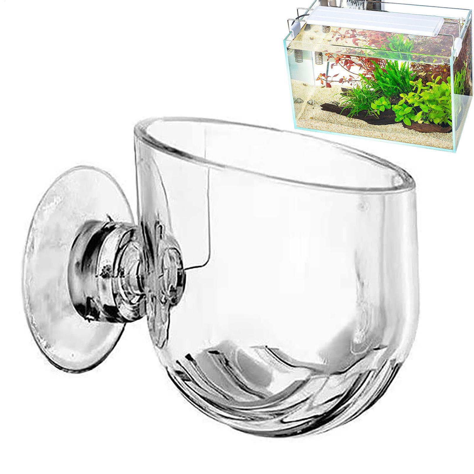 Pot pour plantes aquatiques en - Plant Growth Regulator avis et prix
