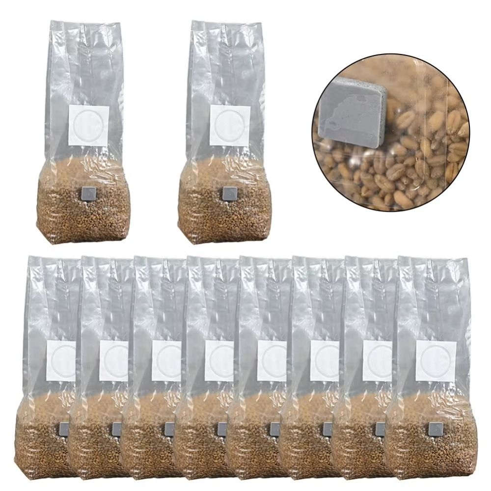 Sac de plantation de champigno - Mushroom Spawn Bag avis et prix