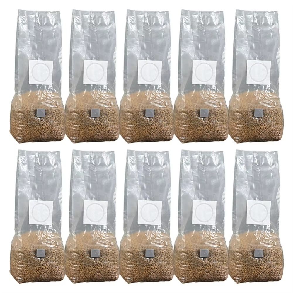 Sac de plantation de champigno - Mushroom Spawn Bag avis et prix