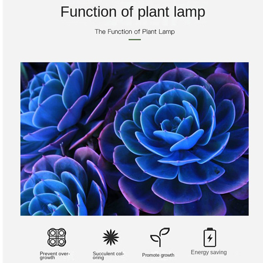 PwwQmm LED plante poussent lam - Plant Growth Regulator avis et prix