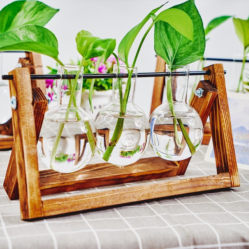 Brittop-user inière en verre p - Plant Growth Regulator avis et prix