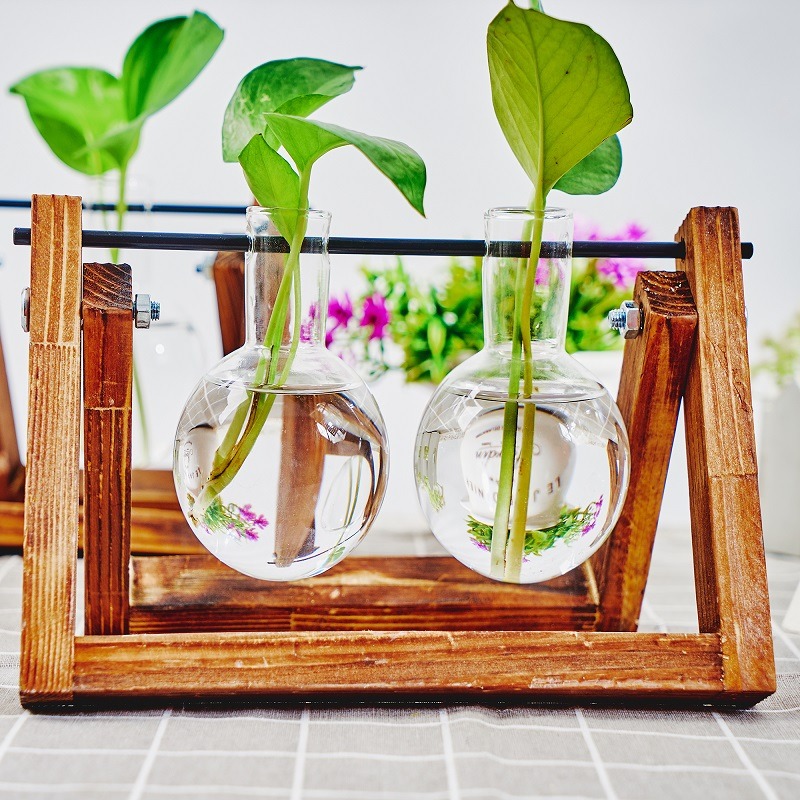 Brittop-user inière en verre p - Plant Growth Regulator avis et prix
