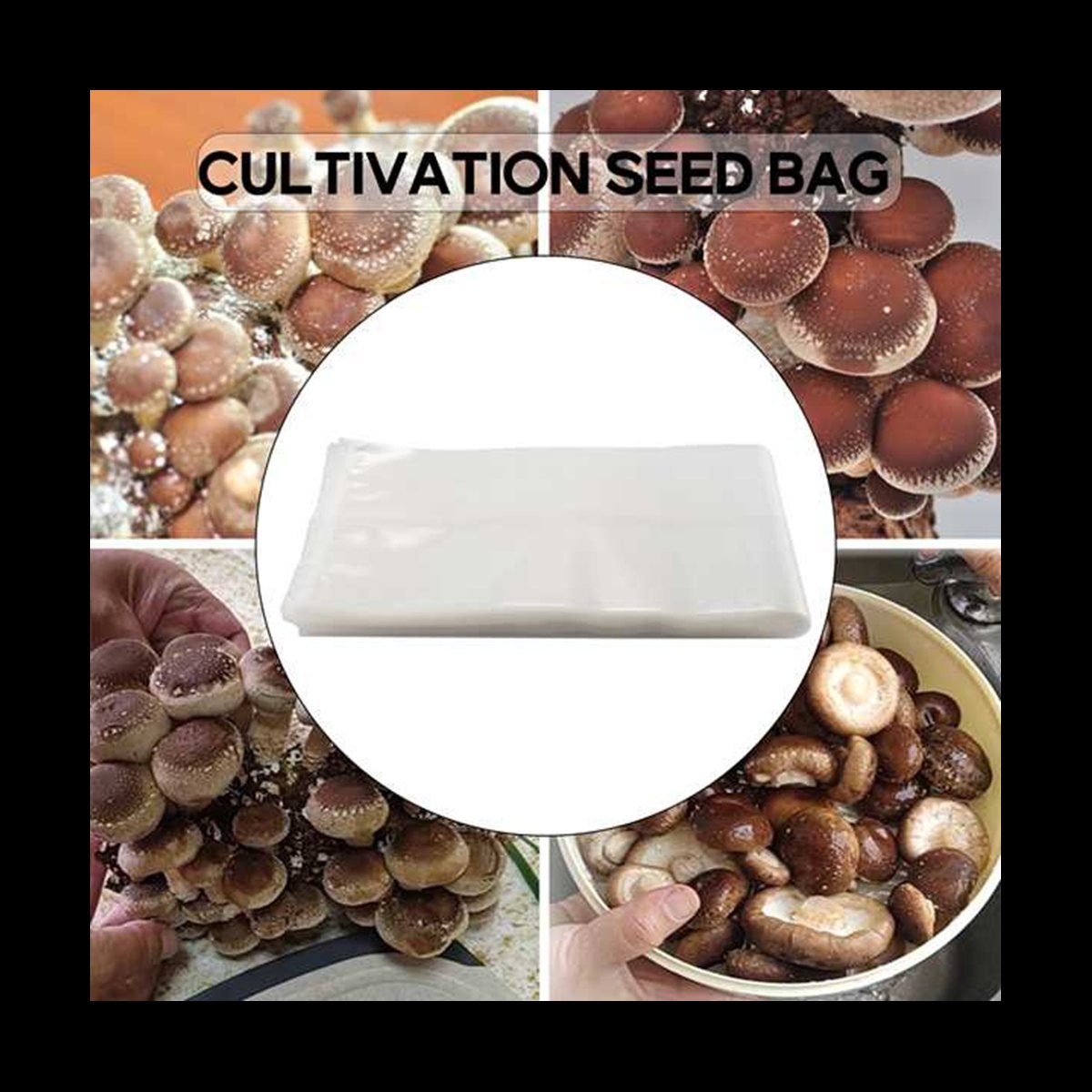 A78I 50 sacs de champignons/sa - Mushroom Spawn Bag avis et prix
